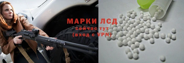 прущие грибы Алексин