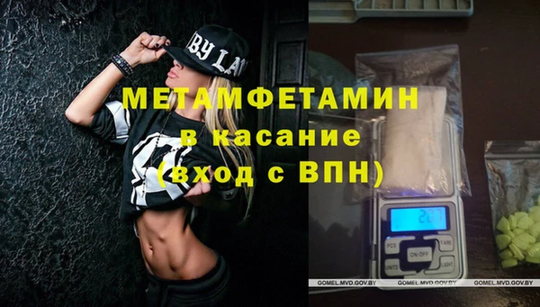 прущие грибы Алексин