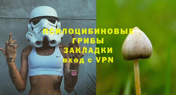 не бодяженный Алзамай